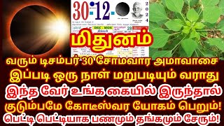 Dec 30 பௌஷ அமாவாசை இந்தவேர் இருந்தால் போதும் கோடிஸ்வர யோகம் பெறலாம். மார்கழி அமாவாசை |#mithunam