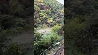 【嵯峨野トロッコ列車】The Sagano Romantic Train