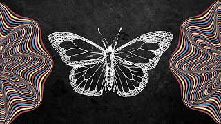 The Butterfly Effect EXPLAINED: And How it Can Change Your Life!
