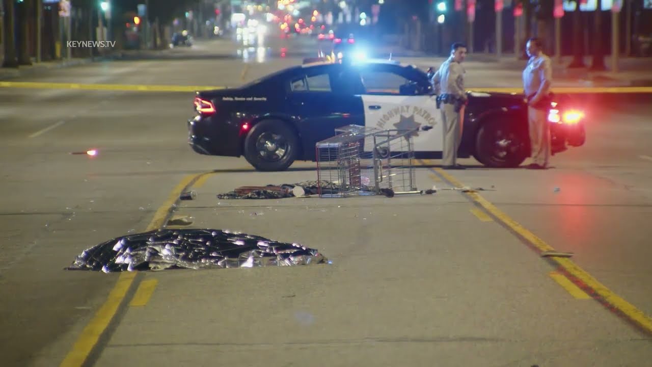 Pedestrian Struck And Killed In Hit-and-Run Collision; Possible Suspect ...