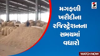 મગફળી ખરીદીના રજિસ્ટ્રેશનના સમયમાં વધારો | Gujarat | Peanuts | Price | Sandesh News