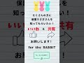 【里親募集中】　保護うさぎ　ちゃーくん for the rabbit 里親様募集中 うさぎ 保護うさぎ fortherabbit shorts