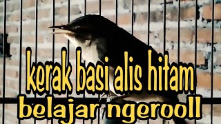 BELAJAR BUNYI NGEROL | KERAK BASI ALIS HITAM