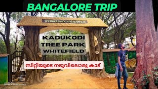 BANGALORE സിറ്റിയുടെ നടുവിലൊരു കാട് | kadugodi tree park near Whitefield |Things to do in Bangalore