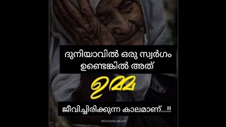 ദുനിയാവിൽ ഒരു സ്വർഗം ഉണ്ടെങ്കിൽ അത് ഉമ്മ ജീവിച്ചിരിക്കുന്ന കാലമാണ്...#islamicvideo #youtube