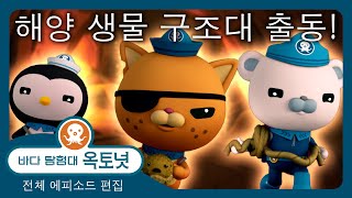 바다 탐험대 옥토넛 - 🐻‍❄️🐙 해양 생물 구조대 출동! ⛑️🛟 - 180분+ 편집 - 모음집