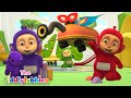 Tiddlytubbies NEW Season 4 ★ Episode 20: Tiddlynoo The Superhero! ★ Tiddlytubbies 3D | WildBrain