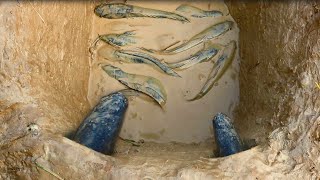 Dig Deep Hole Using PVC Pipe Create A Trap To Catch Fish