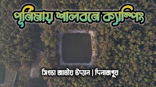 শালবনের সৌন্দর্য | সিংড়া জাতীয় উদ্যান | দিনাজপুর