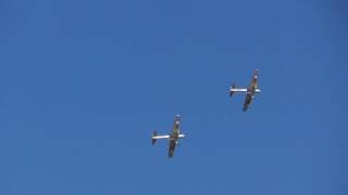 good de havilland DHC 1 Chipmunk pair  Duxford Airshow display  11Sept2016 meet the Fighters 243p