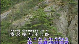 默默祝福你 （龍聖 LD版）