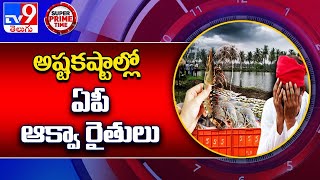 AP : అష్టకష్టాల్లో ఏపీ ఆక్వా రైతులు  - TV9