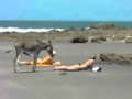 Download He's trying to lure them with his HUGE cock - What The Fuck!-.flv In Mp4 3Gp Full HD Video