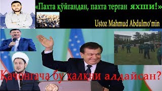 ПАХТА ҚЎЙГАНДАН КЎРА, ПАХТА ТЕР | PAXTA QO‘YGANDAN KO‘RA, PAXTA TER (MAHMUD ABDULMO‘MIN)