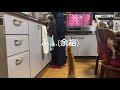 全のせ猫マシマシ ちょっとだけよ