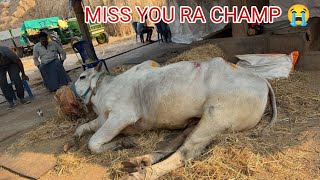 😭😭...GSR BHEEMUDU LAST STAGE VIDEO... MISS YOU RAA CHAMPION...😭😭😭