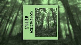 L'élan - Forêt Des Fées (Full Album) (Ambient / Forest Synth)