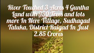 3 Acres 4 Guntha Land With 950 Trees In Nere Village, Sudhagad Taluka In Just 2.85 Crores....