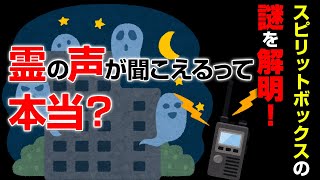 霊と会話できるスピリットボックスって本当に使えるの？【龍音堂チャンネル】