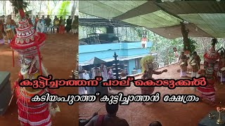 കുട്ടിച്ചാത്തന് പാല് കൊടുക്കൽ|കടിയംപുറത്ത് കുട്ടിച്ചാത്തൻ ക്ഷേത്രം|#ulsavam2024|#theyyam|#viral