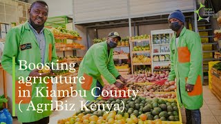 Farmers in Kiambu County are reaping the benefits of the AgriBiz Programme | AgriBiz In Kiambu