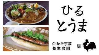 【ひるとうま　よるとうま】ひるとうま　Cafe＠宇夢、養生農園