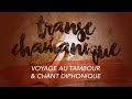 🌙 TRANSE CHAMANIQUE puissante - Voyage au tambour chamanique