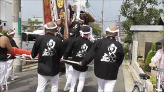 平成28年 向ヶ丘だんじり祭り