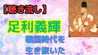 室町幕府最後の光：足利義輝の激動の生涯【聴き流し・作業用・通学・通勤・睡眠】