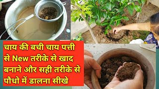 Waste Tea Leaves Fertilizer,Chai ki bachi chai patti se plants khad bnane ka new way, No wash,no dry