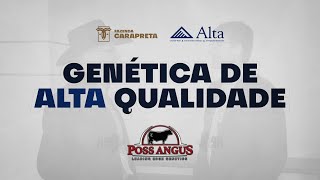 Genética de Alta Qualidade