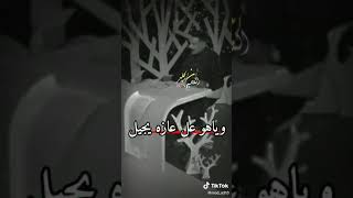 وزنت ميزان ربعي 🥺 شعر حزين