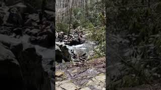 Laurel Falls Hike in the Smoky Mountains