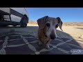 we’re back at joshua tree blm land boondocking at our favorite spot