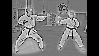 Shozindo Randori (Freestile)