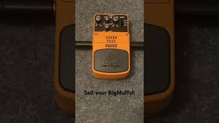 Budget Fuzz Pedal #behringer #sf300 #guitar #electricguitar #effectspedals #guitarpedal #fuzzpedal