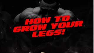 How to grow your legs! In person check-in with Jakub!