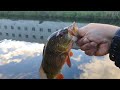 FISHING FOR PEACOCK BASS IN CANALS -  Blue Lagoon - Miami, Florida