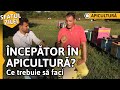 ÎNCEPĂTOR ÎN APICULTURĂ? Ce trebuie să faci [Sfatul zilei]