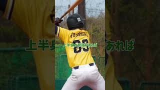 2打席目のフォアボールを振り返るふじしろかんた。  #shorts #baseball #野球 #batting #バッティング #野球のミカタ #打撃探究部屋