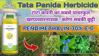 Tata panida herbicide | pendimethalin 30% e.c | पूरी जानकारी हिंदी मैं प्राप्त करें