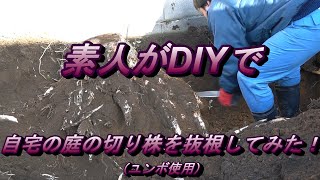 素人がDIYで自宅の庭の切り株を抜根してみた！