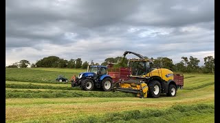 Cumbrian Silage 2022. Classic Ford and NH SP and drag harvester team chopping in the fells