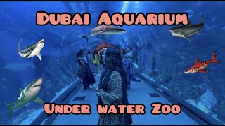 Dubai Aquarium 400 Sharks 🐬A Trip to the underwater Zoo | UAE | Travel Vlog | part 1