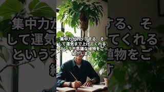 この植物が集中力を高める？ 勉強部屋に置きたい開運グリーン #short #shorts