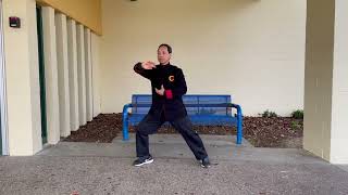 Chen Style Hunyuan 48 Taijiquan  陳式心意混元四十八式太極拳 - Posture 3: Lazily Tuck in the Robe 懒扎衣