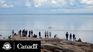 More national marine conservation areas for the benefit of all | Parks Canada