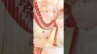 彼方の光/リベラ #クリスマス #ハープ #ハープ王子 #弾いてみた #アイリッシュハープ #harp #リベラ#合唱