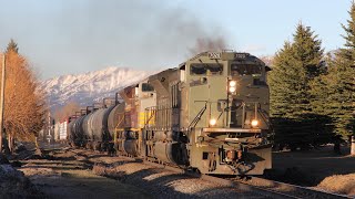 RARE! CP 7020 leads 219 at Fernie, BC