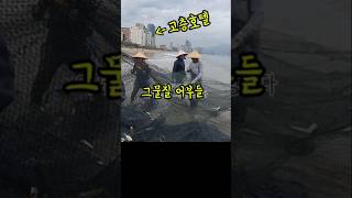 배가 귀했던 때의 고기잡이 net fishing